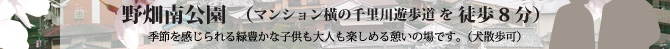 野畑南公園（マンション横の千里川遊歩道 を 徒歩8分） 季節を感じられる緑豊かな子供も大人も楽しめる憩いの場です。（犬散歩可）