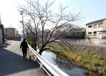 千里川遊歩道の散歩